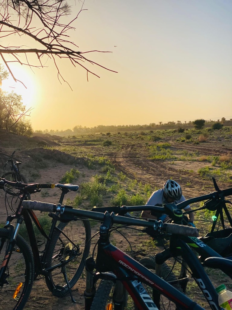 Sunrise Rides