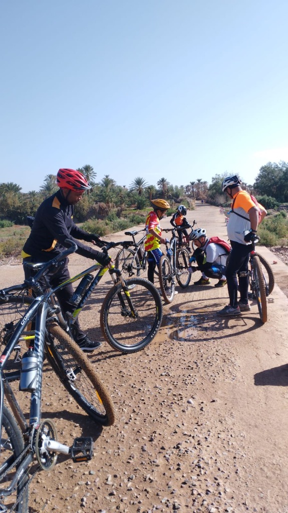 Group Tours